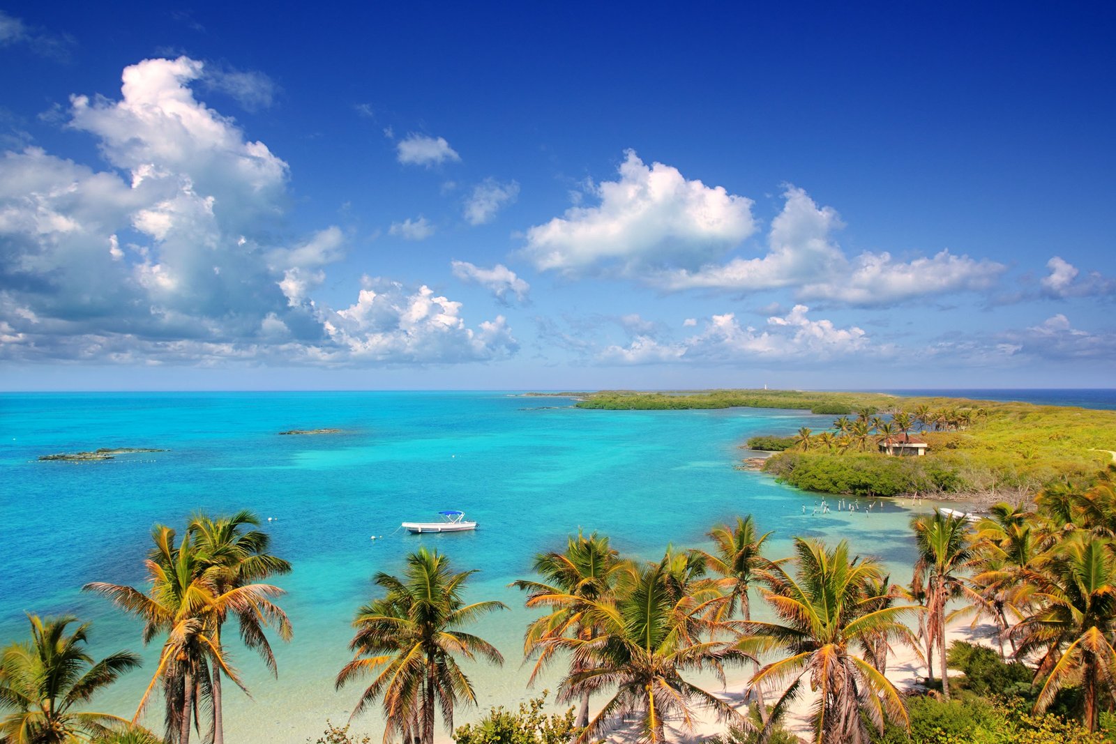 Isla Contoy + Isla Mujeres